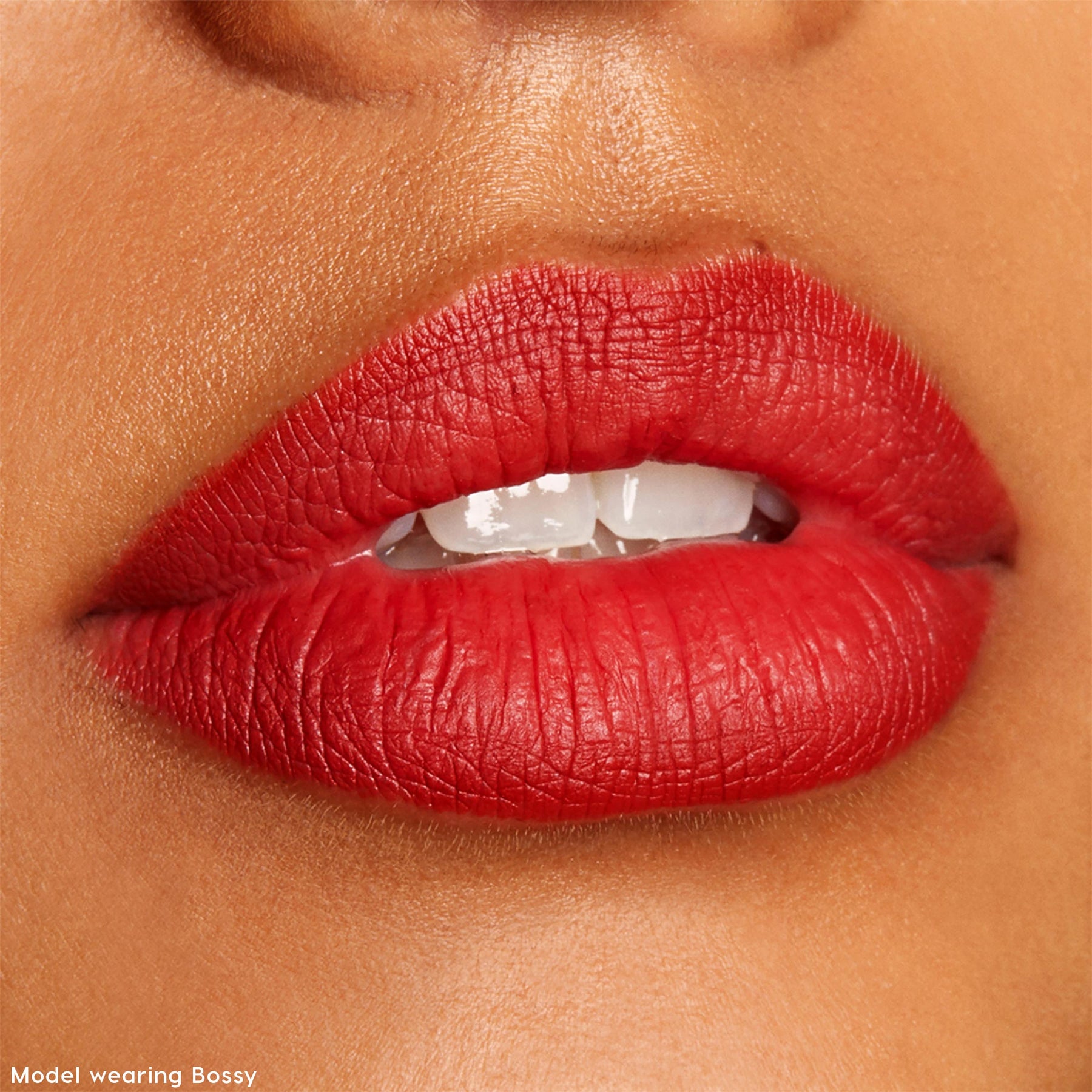 The Lil Box of Lippie Pencils - Home Choice